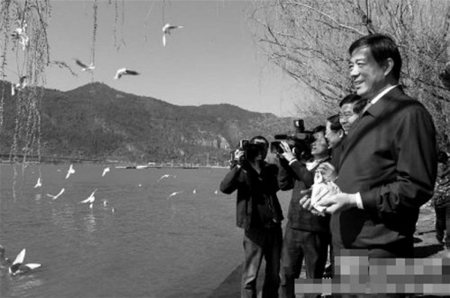2012年2月，薄熙来曾在云南昆明滇池喂海鸥。（网络图片）