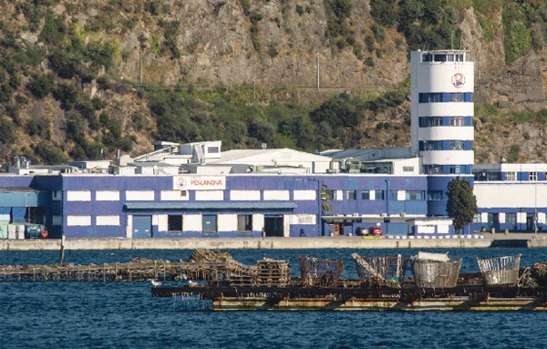 图为著名渔业公司Pescanova的厂房。(Getty Images)