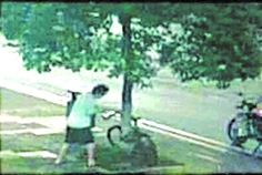 男子正在试图砍断树干偷自行车。（监控画面截图）