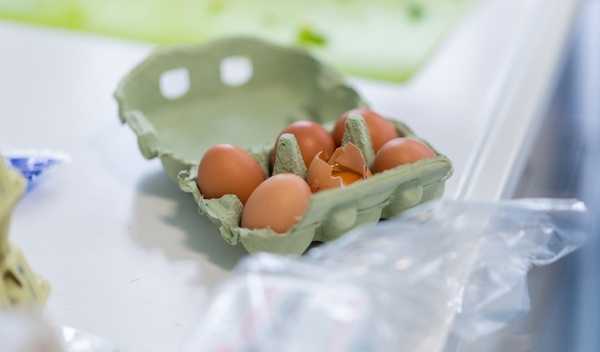 在荷兰，鸡蛋中被检测出含有杀虫药氟虫腈的鸡场已经从28间增加至138间。（AFP/Getty Images）