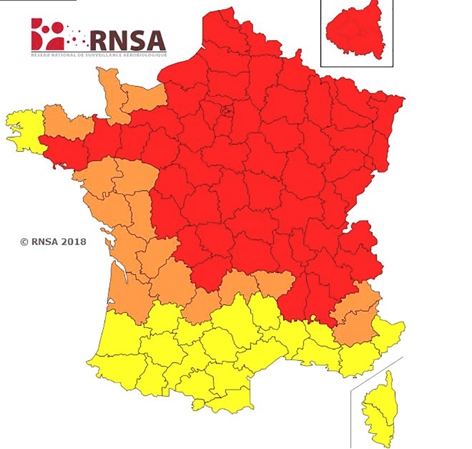 根据生物空气监控中心（RNSA）的网站显示，法国大部分地区处于红色预警状态。（图片来源/RNSA）
