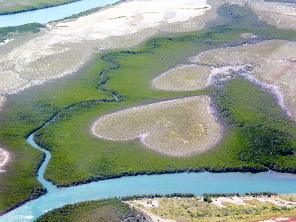 新喀里多尼亚红森林中的心形自然景观。（维基百科）