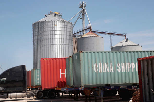 6月份，中国公司在美购买大豆。（Getty Images)