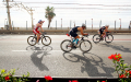 自行车友好城市排名 西班牙两大城市上榜