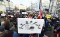 欧盟土耳其签难民协议 引抗议