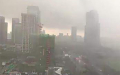 “云雀”史无前例         上海首次两周内台风两度登陆