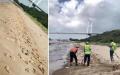 广东东莞市虎门威远岛的沙滩上11日出席大量猪脚及动物内脏。（图片来源：微博截图）