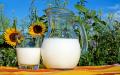 每天最好能喝一杯牛奶，补充钙含量，从而避免骨质疏松。（图片来源：Pixabay）