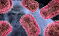 大陆的新冠疫情持续肆虐之际，猴痘病毒开始大范围传播。（图片来源：网络截图）