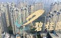 10月10日，中国房地产开发商碧桂园称难以偿还债务。（图片来源：Getty Images）