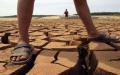 河南干旱的连河水都干涸了。（图片来源：China Photos/Getty Images）