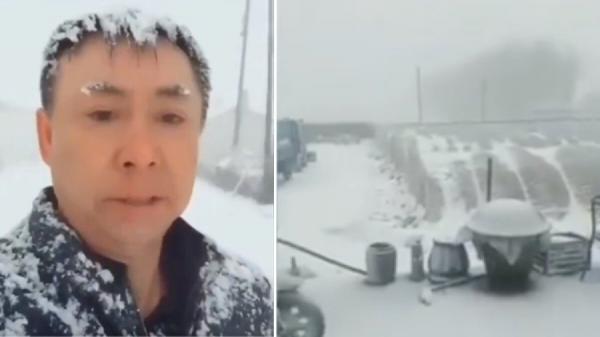 4月20日，中国黑龙江多地突降37年来罕见的大雪。（图片来源：视频截图）