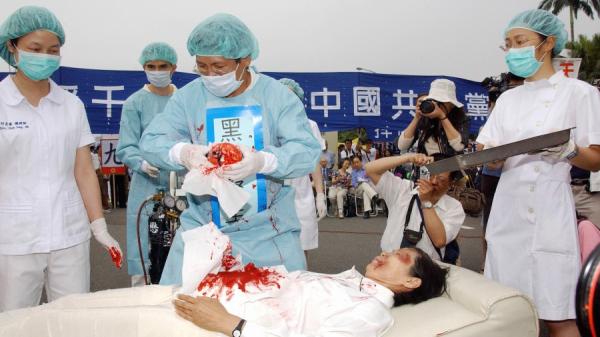 活摘演示   （图片来源:Getty Images）