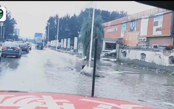 洪水水面上漂浮一层油污，更有羊、狗等动物尸体横躺路边。（图片来源：视频截图）