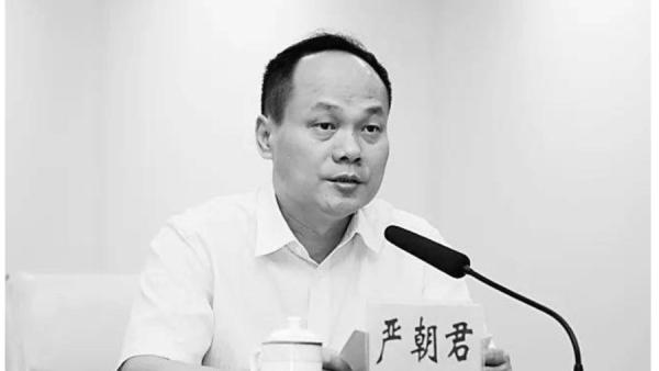 中共政协海南省委员会党组成员严朝君突然去世，引发关注。