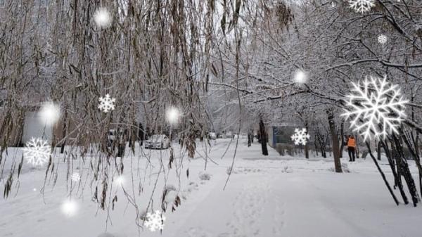 11月7日黑龙江哈尔滨暴雪过后街景。（图片来源：网路截图）