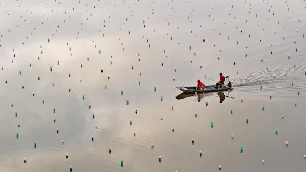 2024年6月15日，江西省珍珠贻贝养殖场（图片来源： STR/AFP via Getty Images）