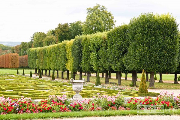 漫步香舒芒城堡花园 (Chateau de Champs-sur-Marne)