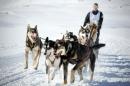 大奥德赛长距离狗拉雪橇大赛 （JEAN-PHILIPPE KSIAZEK/AFP via Getty Images）