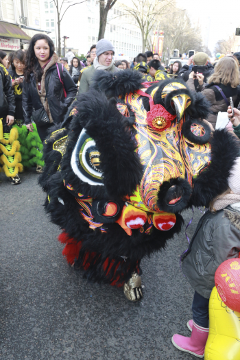 巴黎13区新年大游行(图组2)