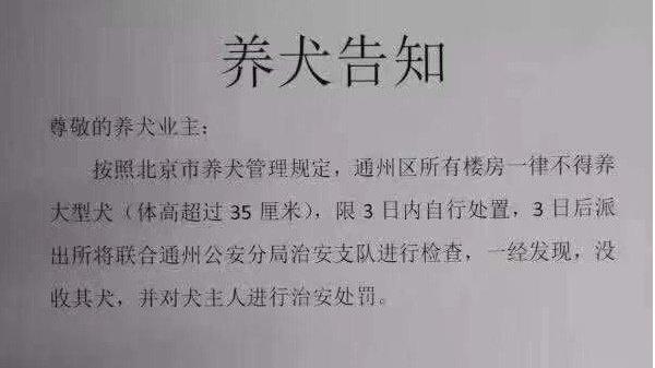 通州区所有楼房一律不得饲养身高超过35公分的大型犬（网络图片）