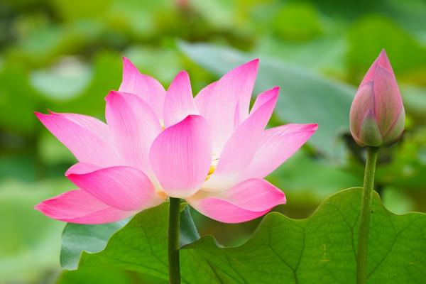 唯有心存善念、敬天信神,方能获得天佑,走向未来。(图片来源:pixabay)