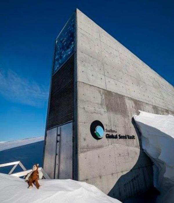 位于挪威的“斯瓦尔巴全球种子库”。（图片来源：Svalbard Global Seed Vault/Tiq/Wikipedia/CC BY-SA 4.0）