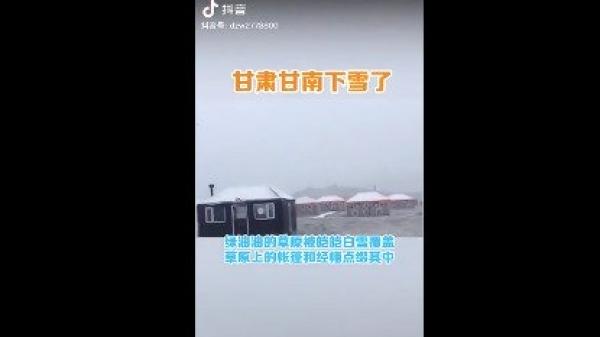 甘肃甘南一夜降雪，盛夏变严冬，引发民间热议。（图片来源：视频截图）