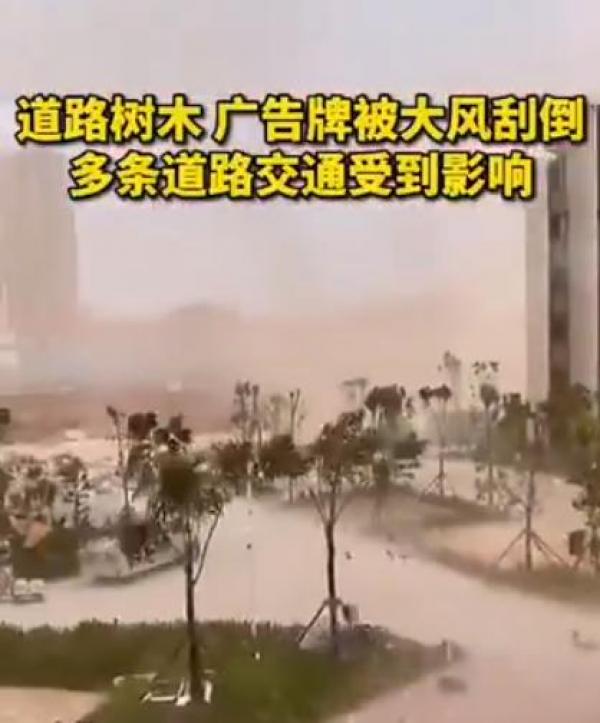 图片来源:视频截图