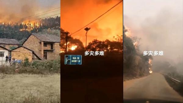 赣州、郴州、永州等南岭山脉一线地区发生连片森林大火，火势猛烈，几乎无法扑救。（图片来源：网络截图）