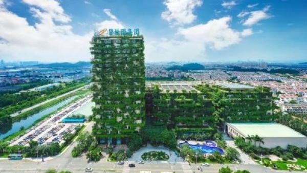 碧桂园总部大楼(图片来源:博客截图)